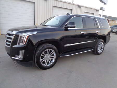 2019 Cadillac Escalade Cadillac Escalade for Sale  - 5572  - Auto Drive Inc.