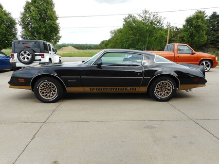 1978 Pontiac Firebird  - Nelson Automotive