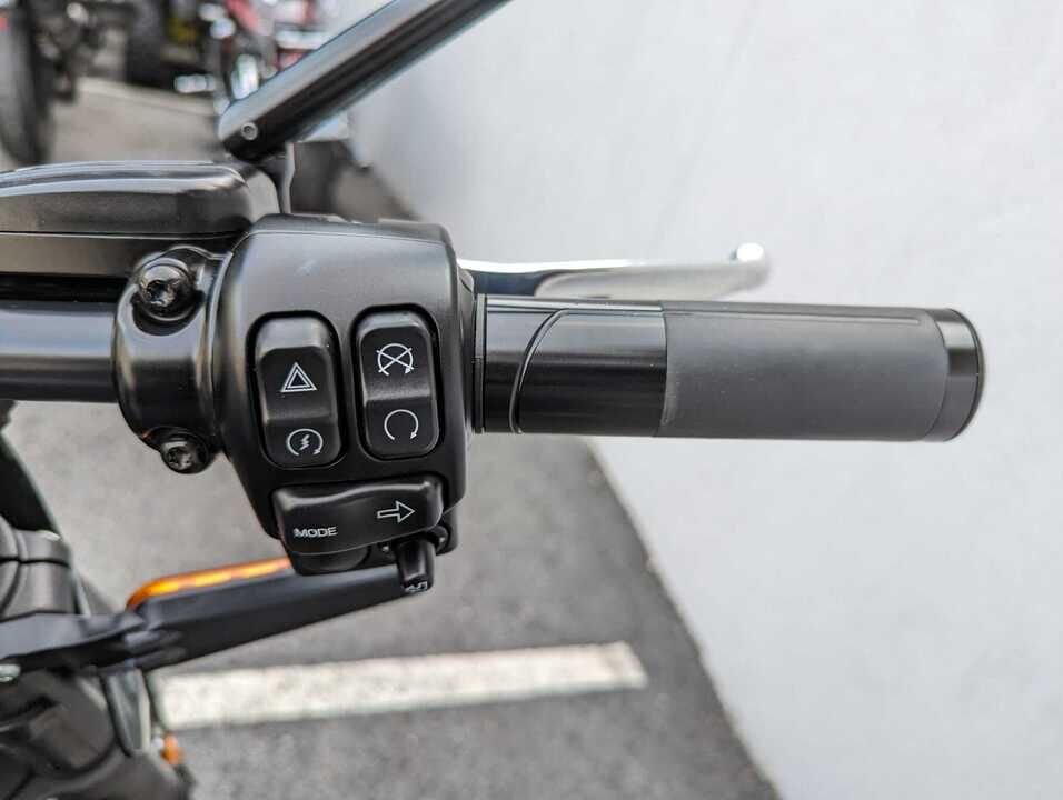 2021 Harley-Davidson Livewire  - Triumph of Westchester