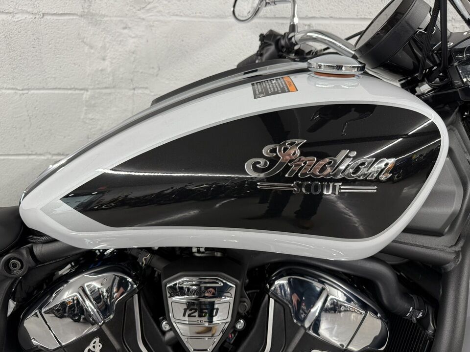2025 Indian Scout Classic Limited Tech  - Triumph of Westchester