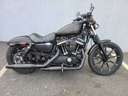 2020 Harley-Davidson Sportster Iron 883 for Sale  - 20Iron883-097  - Triumph of Westchester