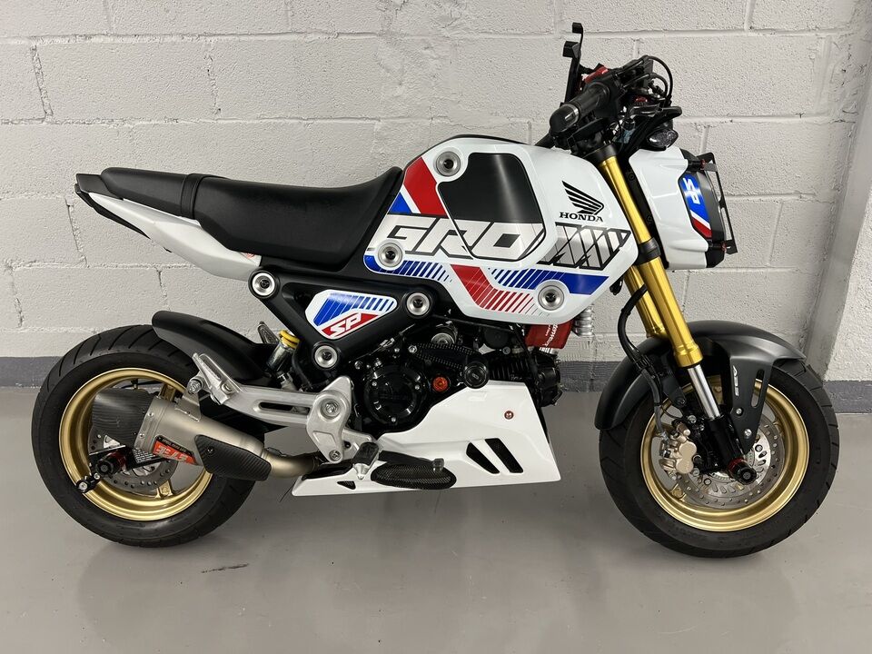 2023 Honda Grom  - Triumph of Westchester