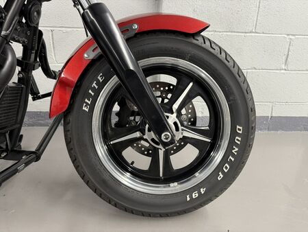 2013 Victory Judge  - Triumph of Westchester