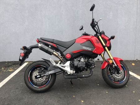 2015 Honda Grom  - Triumph of Westchester