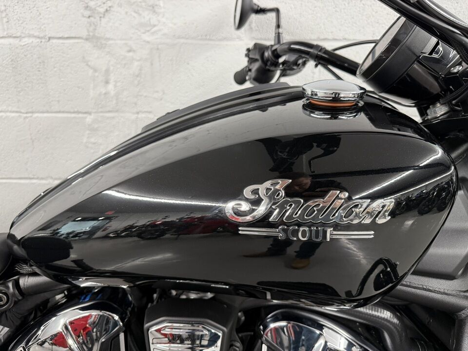 2025 Indian SUPER SCOUT  - Triumph of Westchester