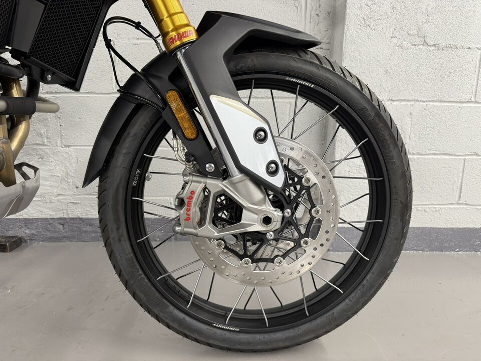 2023 Triumph Tiger 900 Rally Pro  - Triumph of Westchester