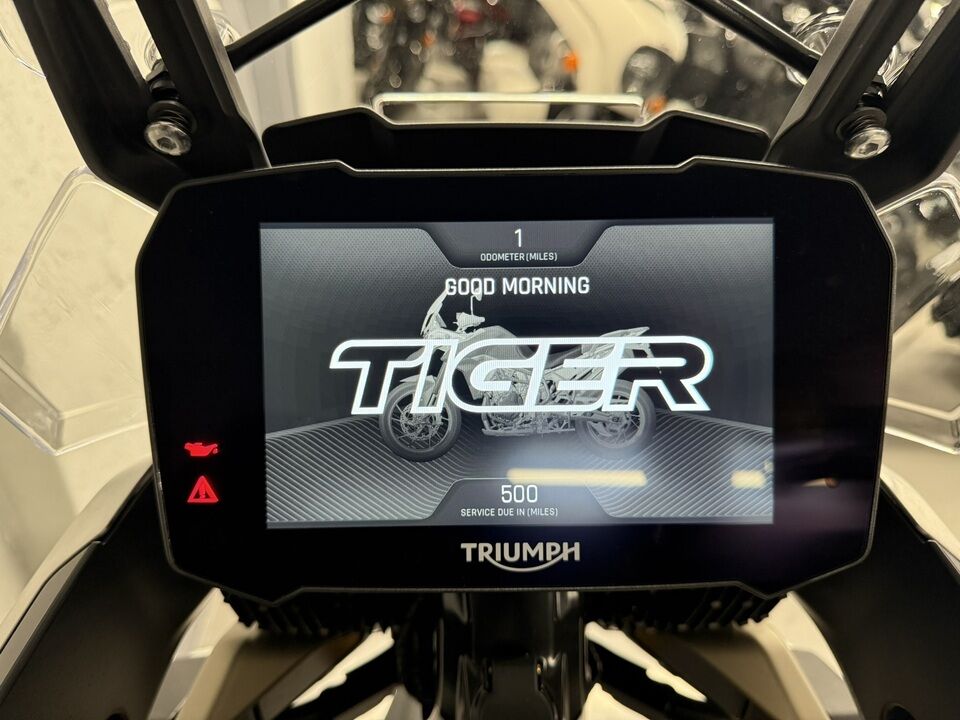 2023 Triumph Tiger 900 Rally Pro  - Triumph of Westchester