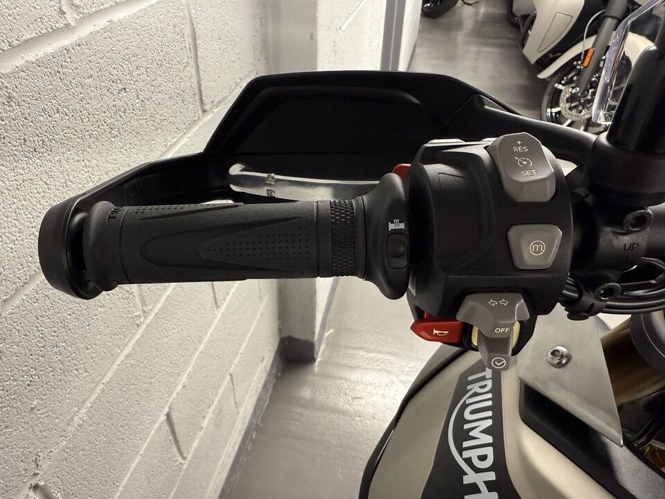 2023 Triumph Tiger 900 Rally Pro  - Triumph of Westchester