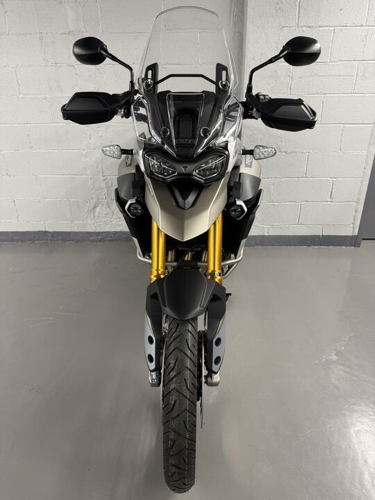 2023 Triumph Tiger 900 Rally Pro  - Triumph of Westchester
