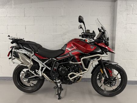 2024 Triumph Tiger 900 GT Pro  - Triumph of Westchester