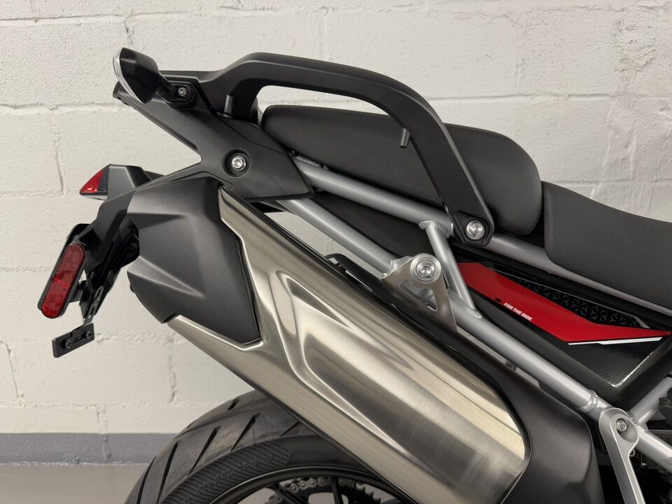 2024 Triumph Tiger 900 GT  - Triumph of Westchester
