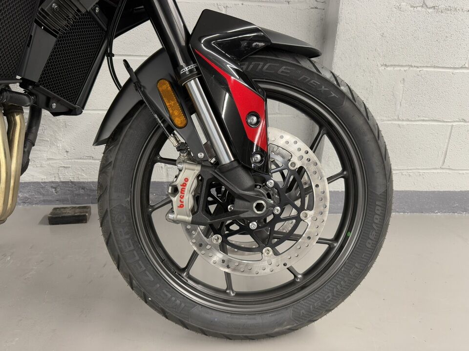 2024 Triumph Tiger 900 GT  - Triumph of Westchester