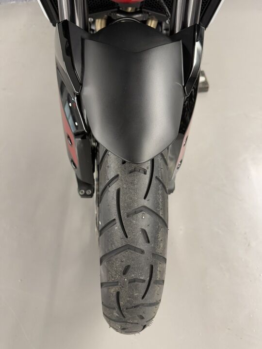 2024 Triumph Tiger 900 GT  - Triumph of Westchester