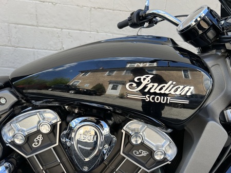 2019 Indian Scout  - Triumph of Westchester