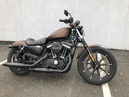 2019 Harley-Davidson Sportster  - Triumph of Westchester