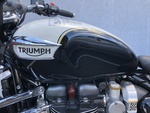 2020 Triumph Speedmaster  - Triumph of Westchester