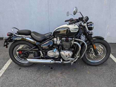 2018 Triumph Speedmaster  - Triumph of Westchester