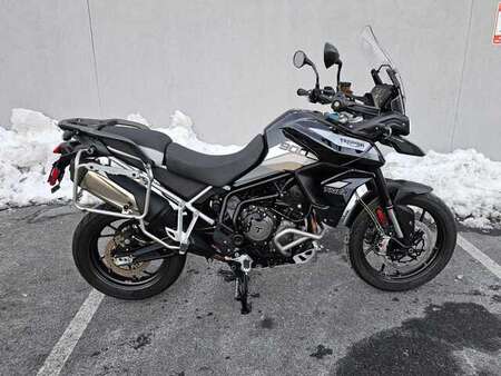 2021 Triumph Tiger 900 GT Pro  for Sale  - 21Tiger900GTPro-658  - Indian Motorcycle