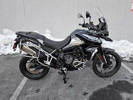 2021 Triumph Tiger 900 GT Pro  - Triumph of Westchester