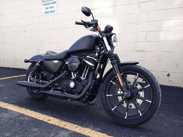 2016 Harley-Davidson Sportster  - Triumph of Westchester