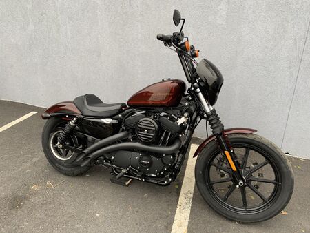 2019 Harley-Davidson Sportster  - Triumph of Westchester