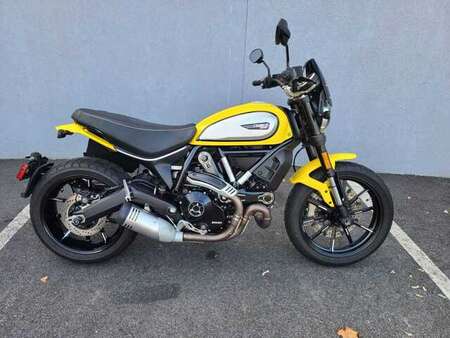 2019 Ducati Scrambler Icon  for Sale  - 19Scrambler-101  - Triumph of Westchester