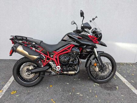 2014 Triumph Tiger 800  - Triumph of Westchester