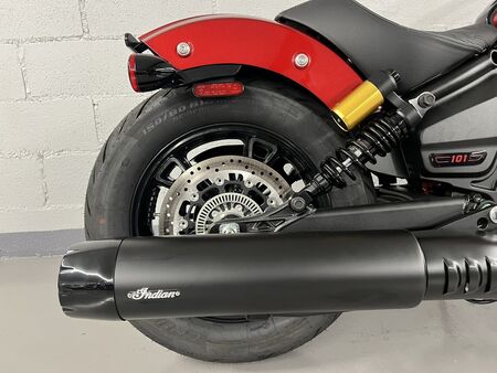 2025 Indian 101 SCOUT  - Triumph of Westchester