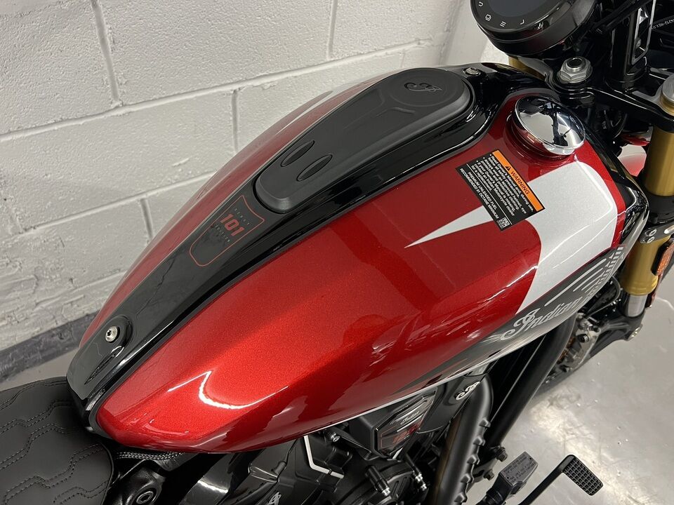 2025 Indian 101 SCOUT  - Triumph of Westchester