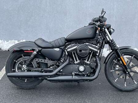 2020 Harley-Davidson Sportster IRON 883 for Sale  - 20Iron883-564  - Triumph of Westchester