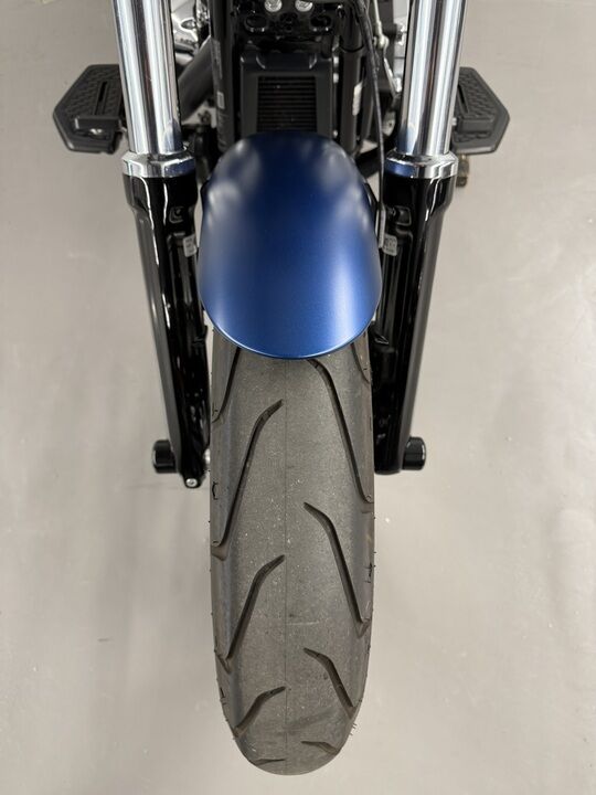 2018 Harley-Davidson FXBRS BREAKOUT 114  - Triumph of Westchester