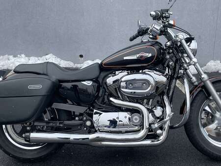 2012 Harley-Davidson Sportster Custom for Sale  - 12XL1200C-846  - Triumph of Westchester