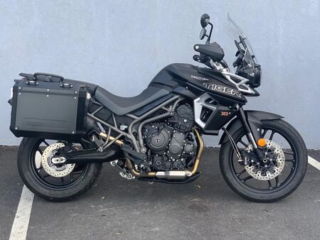 2019 Triumph Tiger 800  - Triumph of Westchester