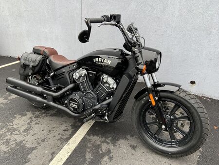 2019 Indian Scout  - Triumph of Westchester
