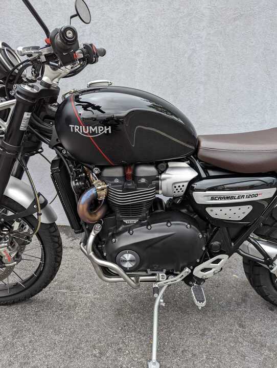2019 Triumph Scrambler  - Indian Motorcycle
