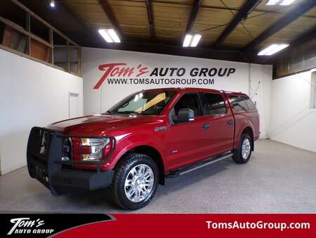 2015 Ford F-150 XLT for Sale  - N67161L  - Tom's Auto Group