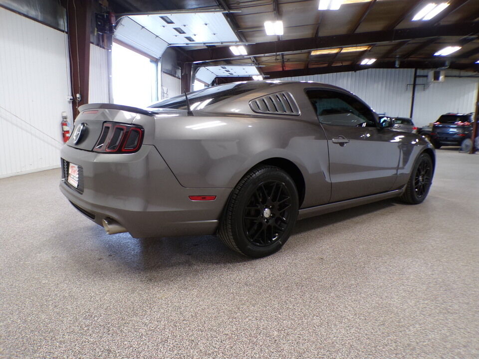 2014 Ford Mustang  - Tom's Budget Cars