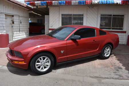 2009 Ford Mustang  - Dynamite Auto Sales