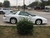 Thumbnail 1994 Pontiac Firebird - MCCJ Auto Group