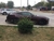 Thumbnail 2018 Ford Mustang - MCCJ Auto Group