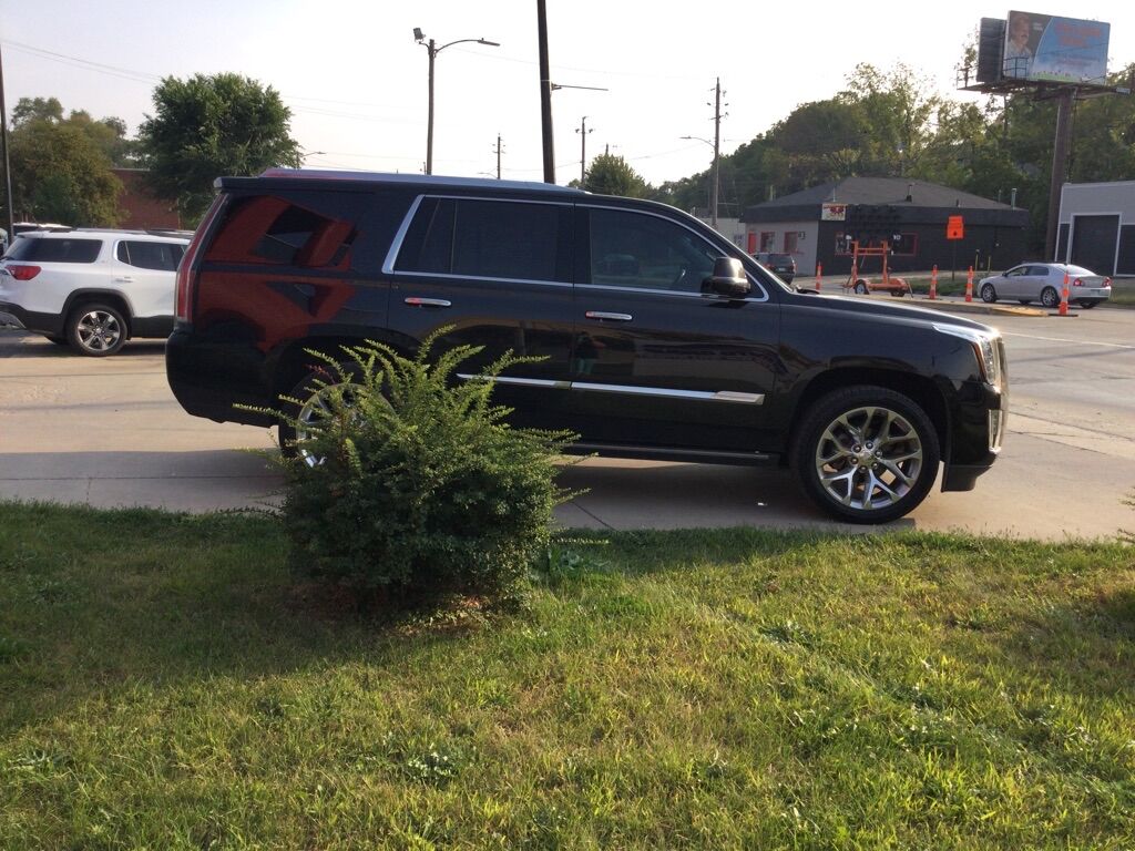 2016 Cadillac Escalade  - MCCJ Auto Group