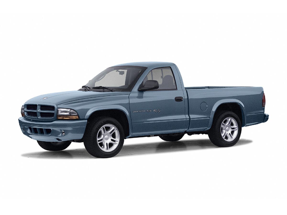 2004 Dodge Dakota  - C & S Car Company