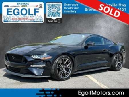 2019 Ford Mustang GT Premium for Sale  - 11409  - Egolf Motors