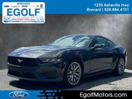 2024 Ford Mustang EcoBoost Premium for Sale  - 5615  - Egolf Motors