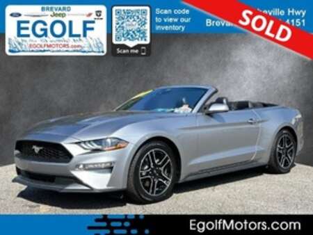 2021 Ford Mustang EcoBoost Premium for Sale  - 11384  - Egolf Motors