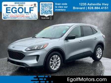 2022 Ford Escape SE for Sale  - 11554  - Egolf Motors