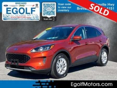 2020 Ford Escape SE AWD for Sale  - 11383  - Egolf Motors