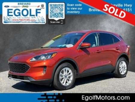 2020 Ford Escape SE AWD for Sale  - 11379  - Egolf Motors