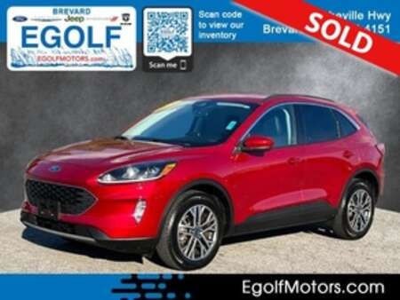 2021 Ford Escape SEL AWD for Sale  - 11563  - Egolf Motors