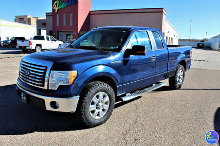 2010 Ford F-150  for Sale  - FT1248A  - Fiesta Motors